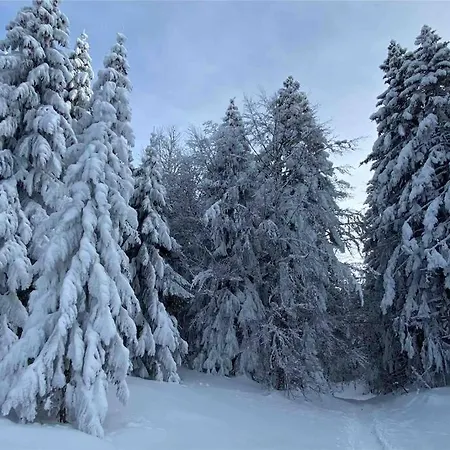 Appartamento Le Bohème Beau T2 Vue Lac&montagnes + Garage *