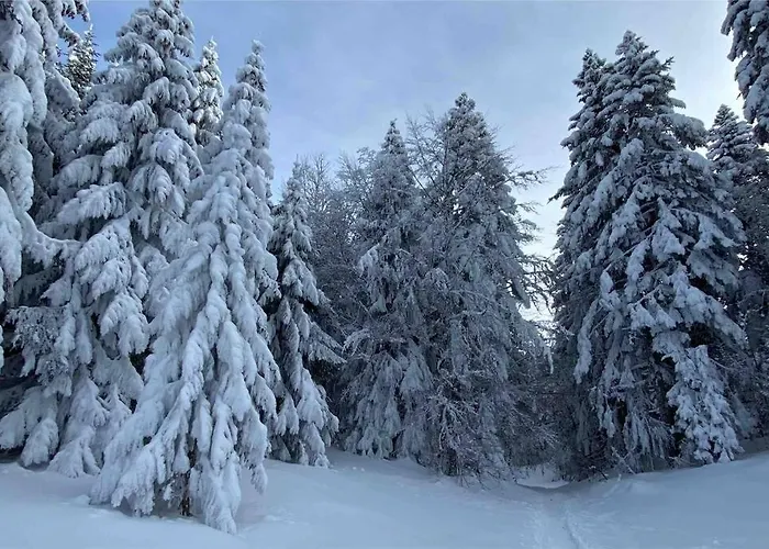 Daire Le Boheme Beau T2 Vue & Montagnes + Garage *